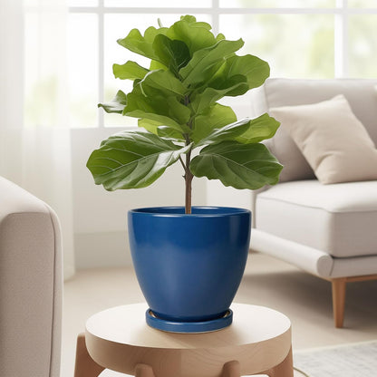 6.8 Inch Plant Pot - Ceramic Planter with Drainage Hole and Saucer, Modern Round Flower Pot