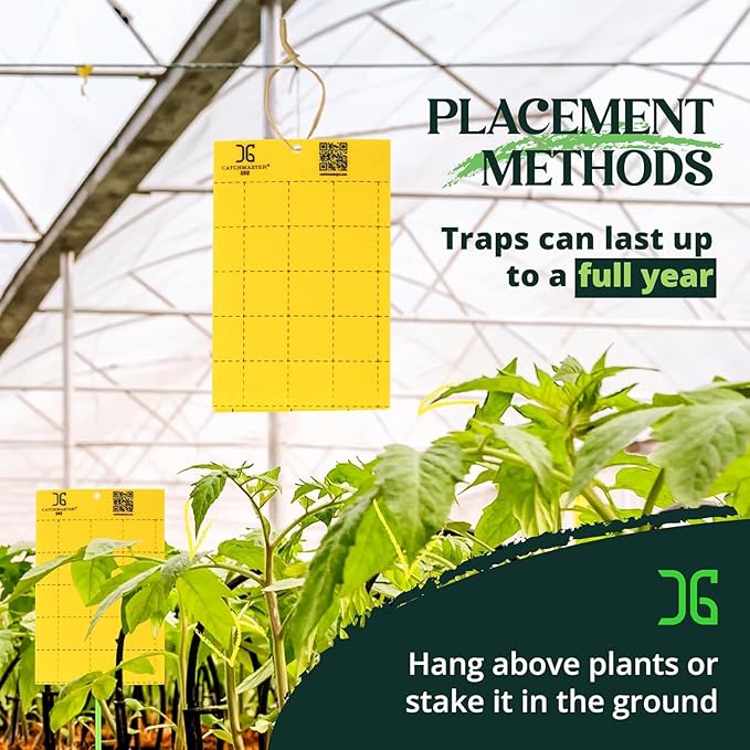 Catchmaster GRO Yellow Large Double Sided Sticky Traps 50PK, Adhesive Bug & Fruit Fly Trap, Pest