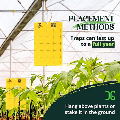 Catchmaster GRO Yellow Large Double Sided Sticky Traps 50PK, Adhesive Bug & Fruit Fly Trap, Pest