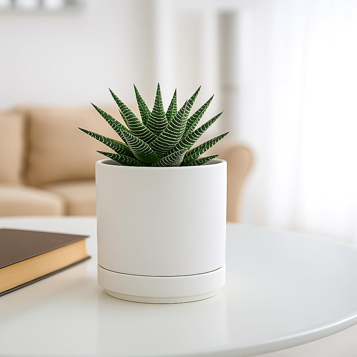 D'vine Dev 4.7 Inch Ceramic Planter Pot with Drainage Hole and Saucer, Indoor Cylinder Round