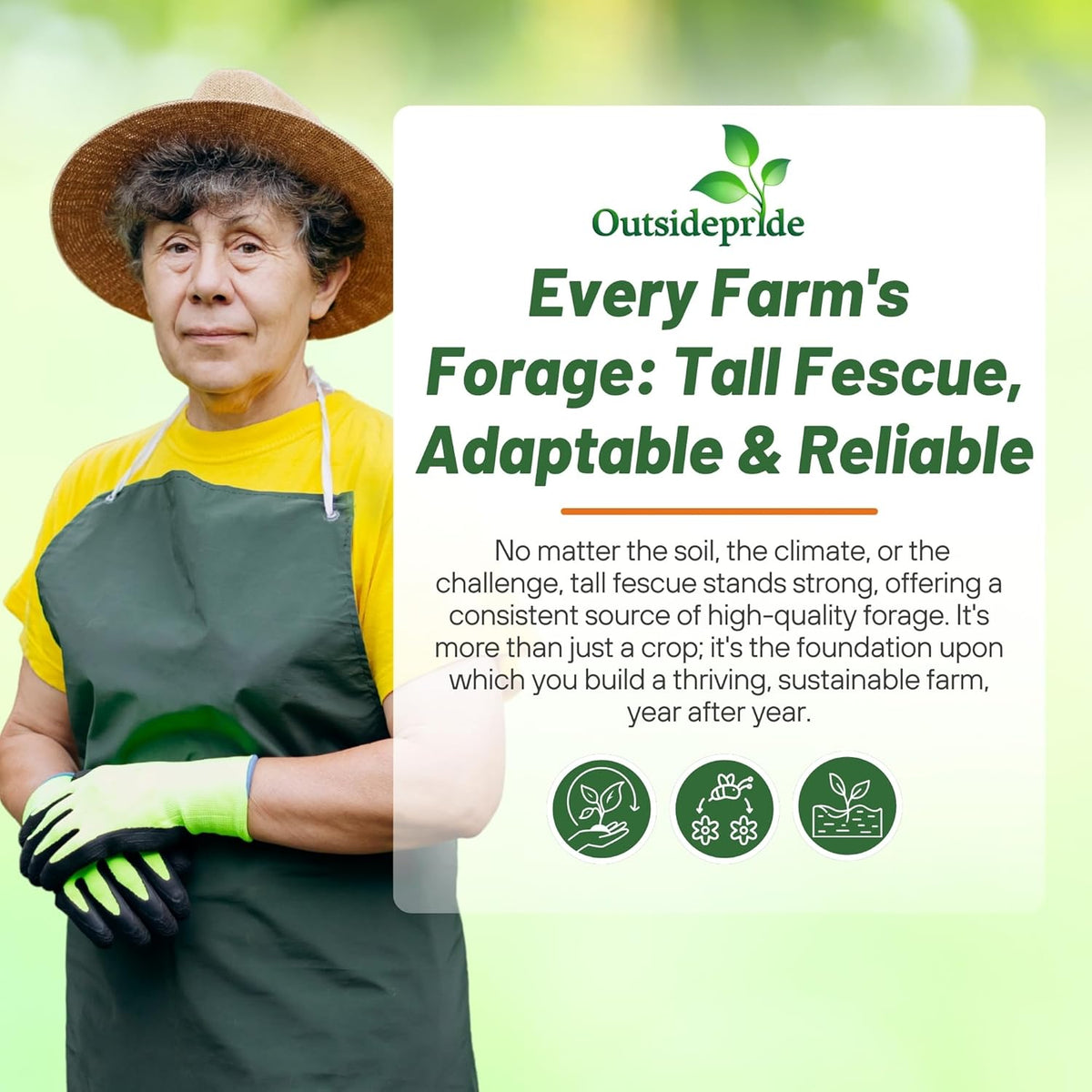 Outsidepride Forage Tall Fescue Grass Seeds - 50 lb. Perennial, Drought-Tolerant & Easy to Grow