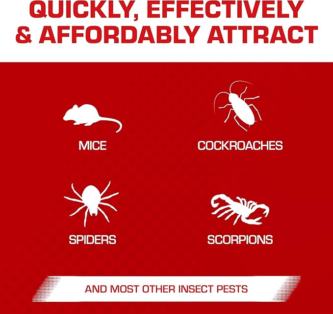 Tomcat Super Hold Glue Traps Mouse Size for Mice, Cockroaches, Spiders, and Scorpions