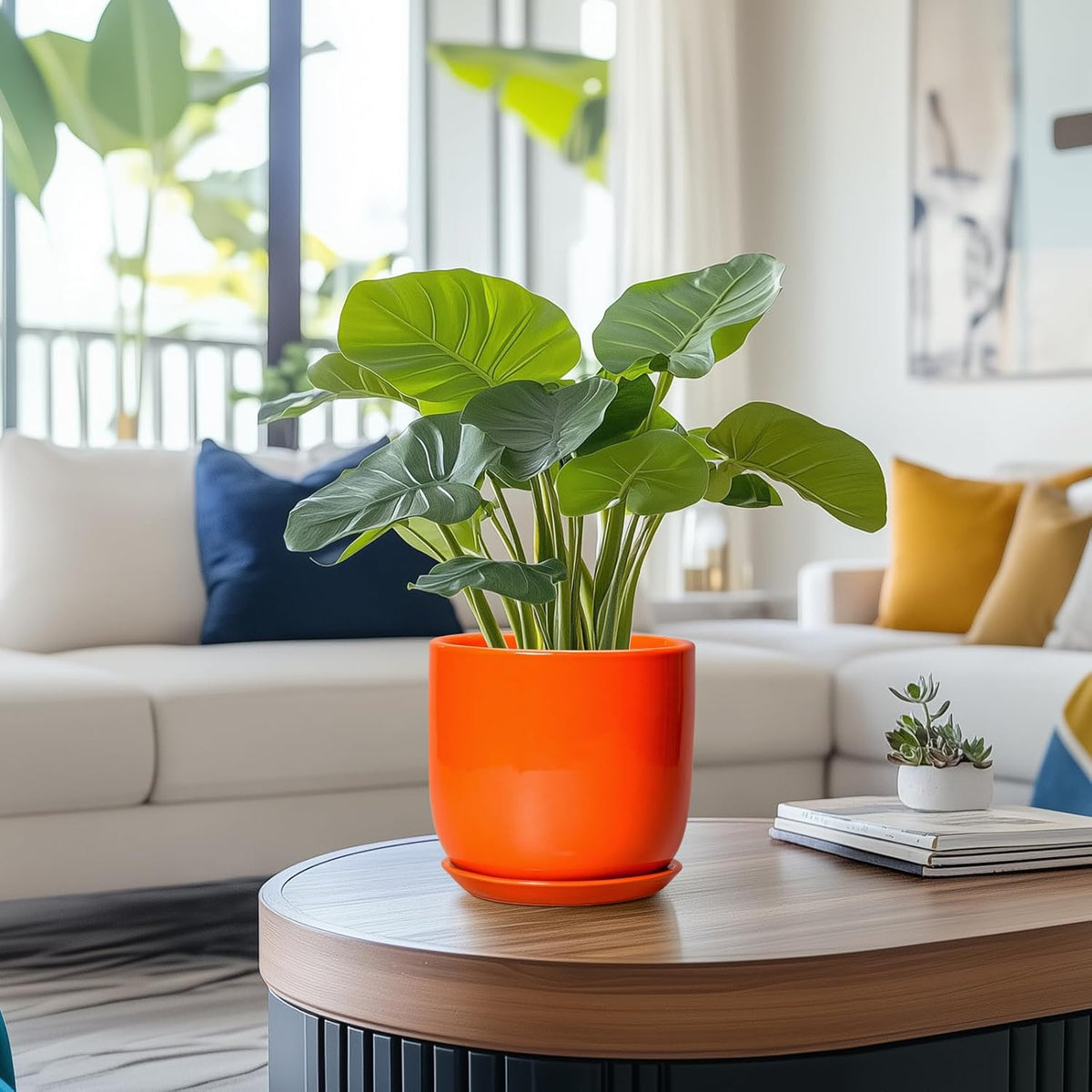 7 Inch Plant Pot - Ceramic Planter with Drainage Hole and Saucer, Modern Round Ceramic Flower Pot