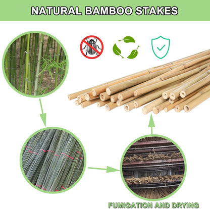 Bamboo Plant Stakes – 25pcs 4FT Natural Bamboo Garden Stakes for Tomatoes, Peppers, Beans, Indoor &