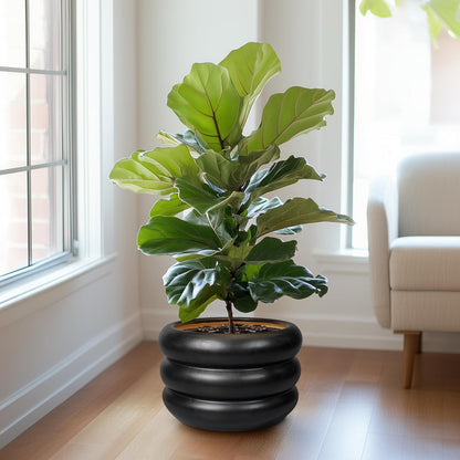 SQOWL Ceramic Flower Pot 13.5 Inch - Large Planter for Indoor Plants Outdoor Plant Pot with