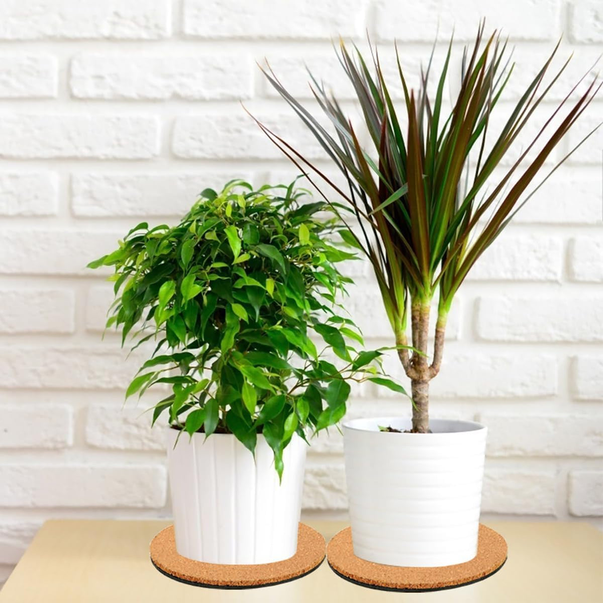 6 Pieces Cork Plant Coasters, 4 Inch Cork Plant Mats, Cork Coaster for Planters, Plant Coasters for