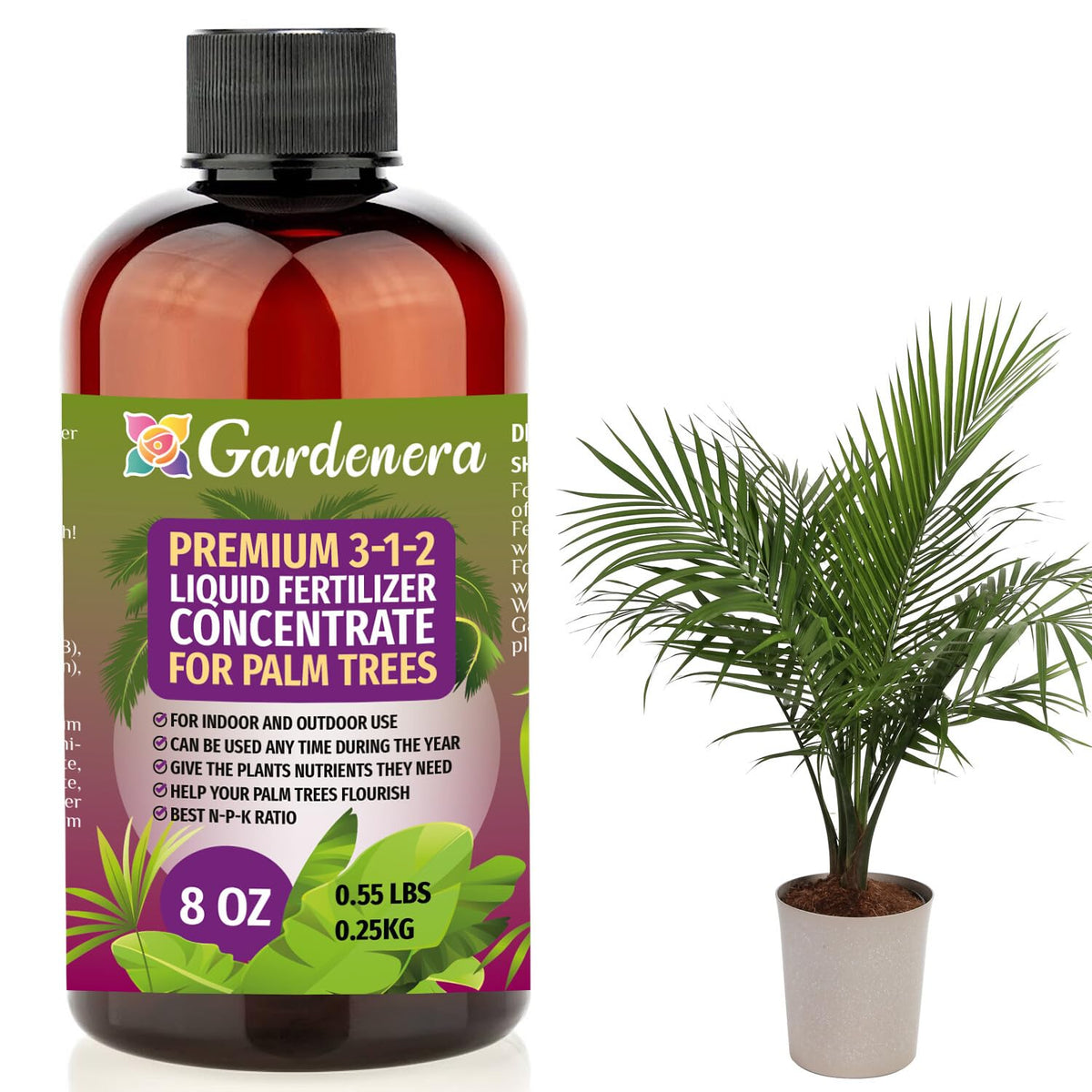 Premium Liquid Palm Tree Plant Fertilizer - 3-1-2 Concentrate for Indoor Plants and Flowers by