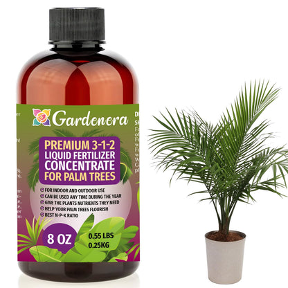 Premium Liquid Palm Tree Plant Fertilizer - 3-1-2 Concentrate for Indoor Plants and Flowers by