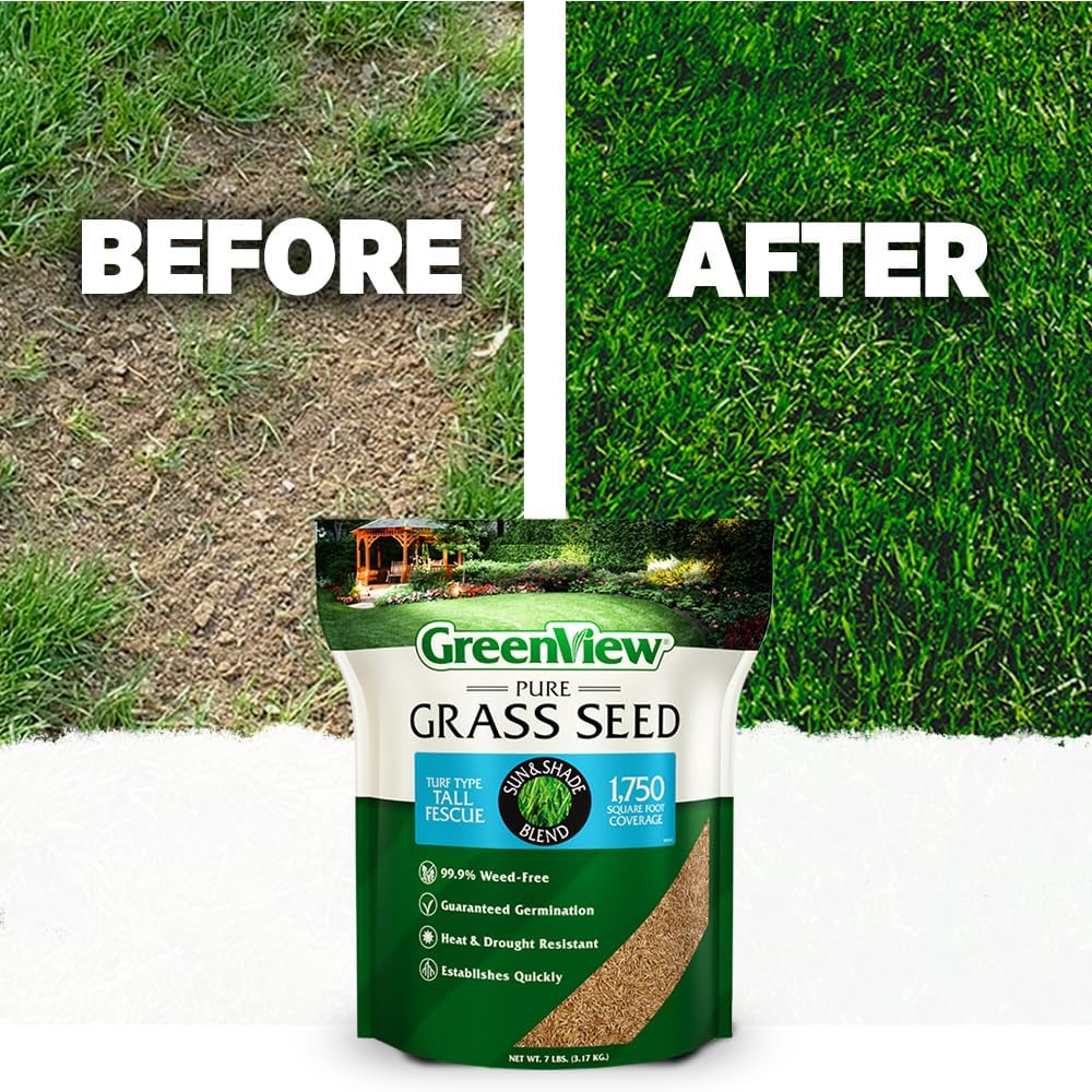 GreenView Pure Grass Seed Turf Type Tall Fescue Sun & Shade Blend, 7 lb. Bag – Covers up to 1,750