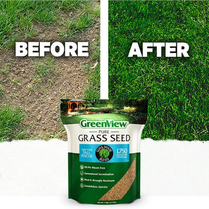 GreenView Pure Grass Seed Turf Type Tall Fescue Sun & Shade Blend, 7 lb. Bag – Covers up to 1,750