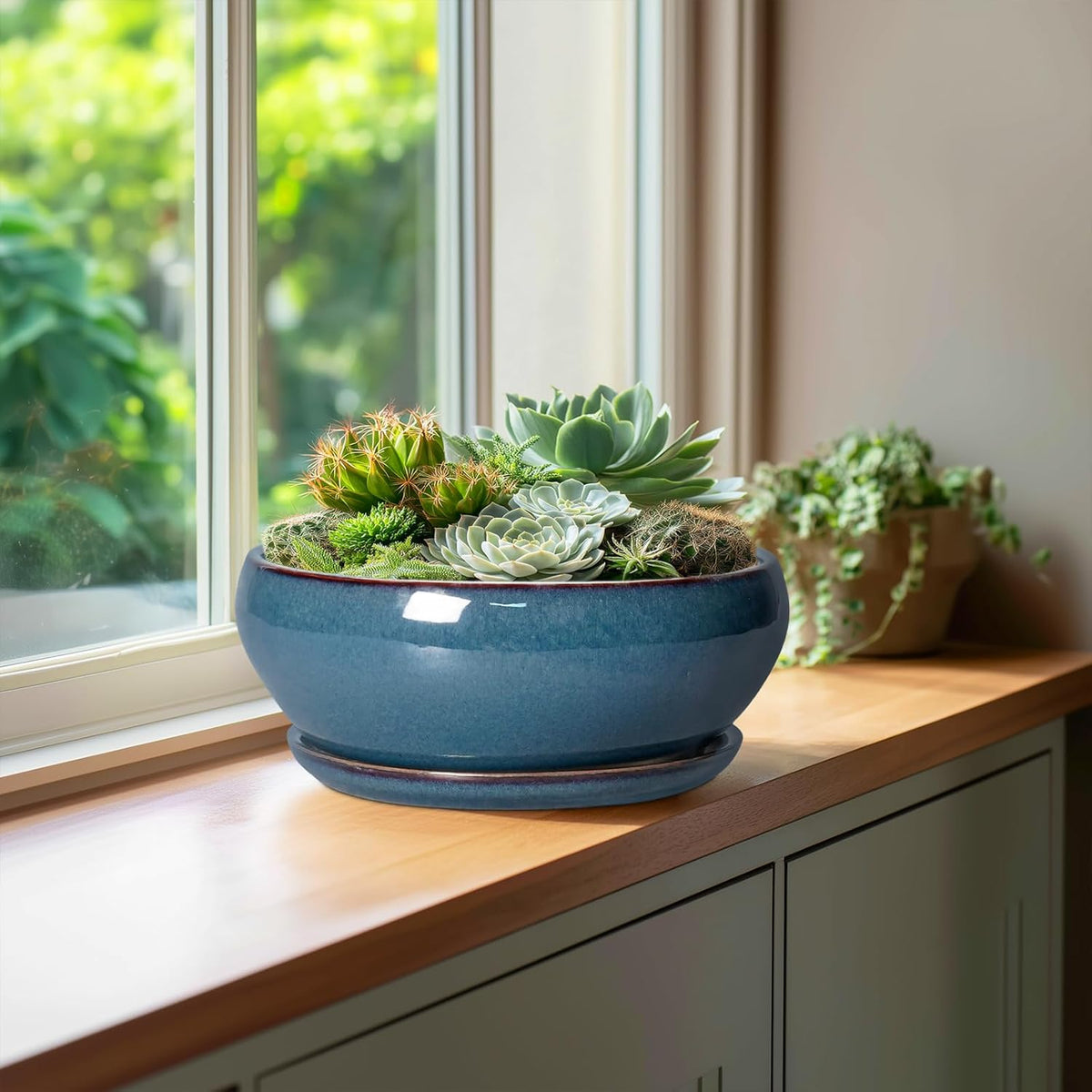 SQOWL Bonsai Pots 10 Inch - Large Ceramic Succulent Pots, Shallow Planter with Drainage Hole and