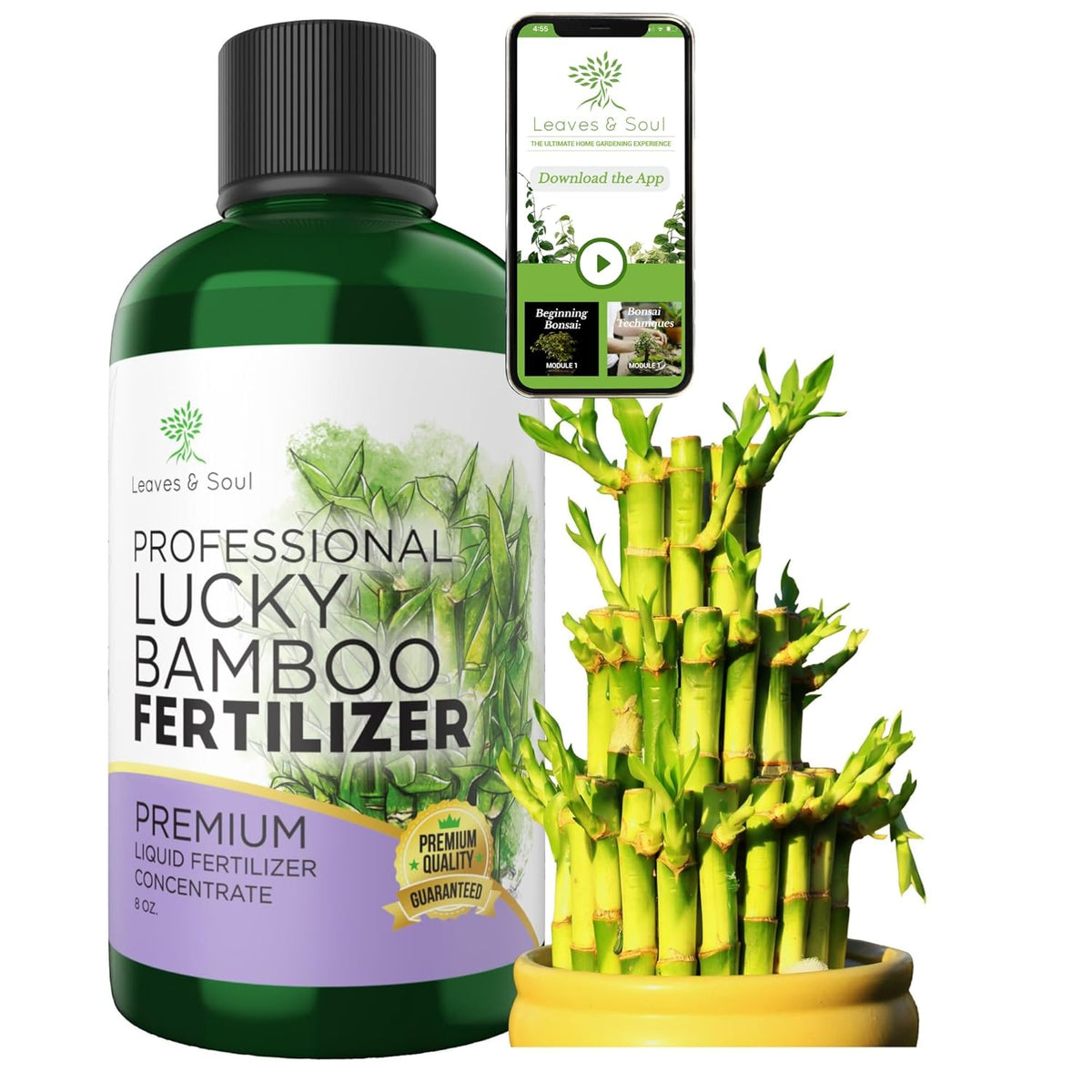 Professional Liquid Lucky Bamboo Fertilizer | 3-1-2 Concentrate for Flowering Plants |