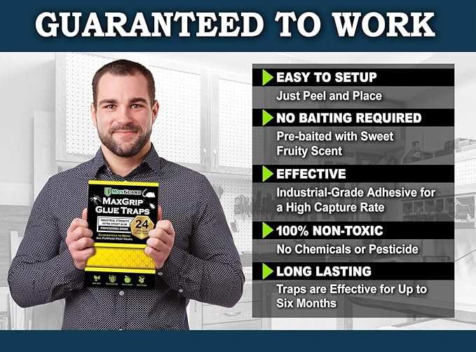MaxGuard MaxGrip Glue Traps (24 Traps) Non-Toxic Extra Sticky Glue Board Pre-Baited with Fruity
