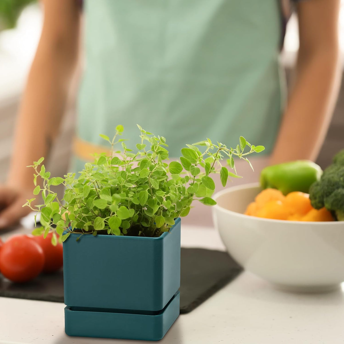 4 Inch Herb Planter Pot, Plastic Planter with Drainage Holes and Saucer, Modern Decorative