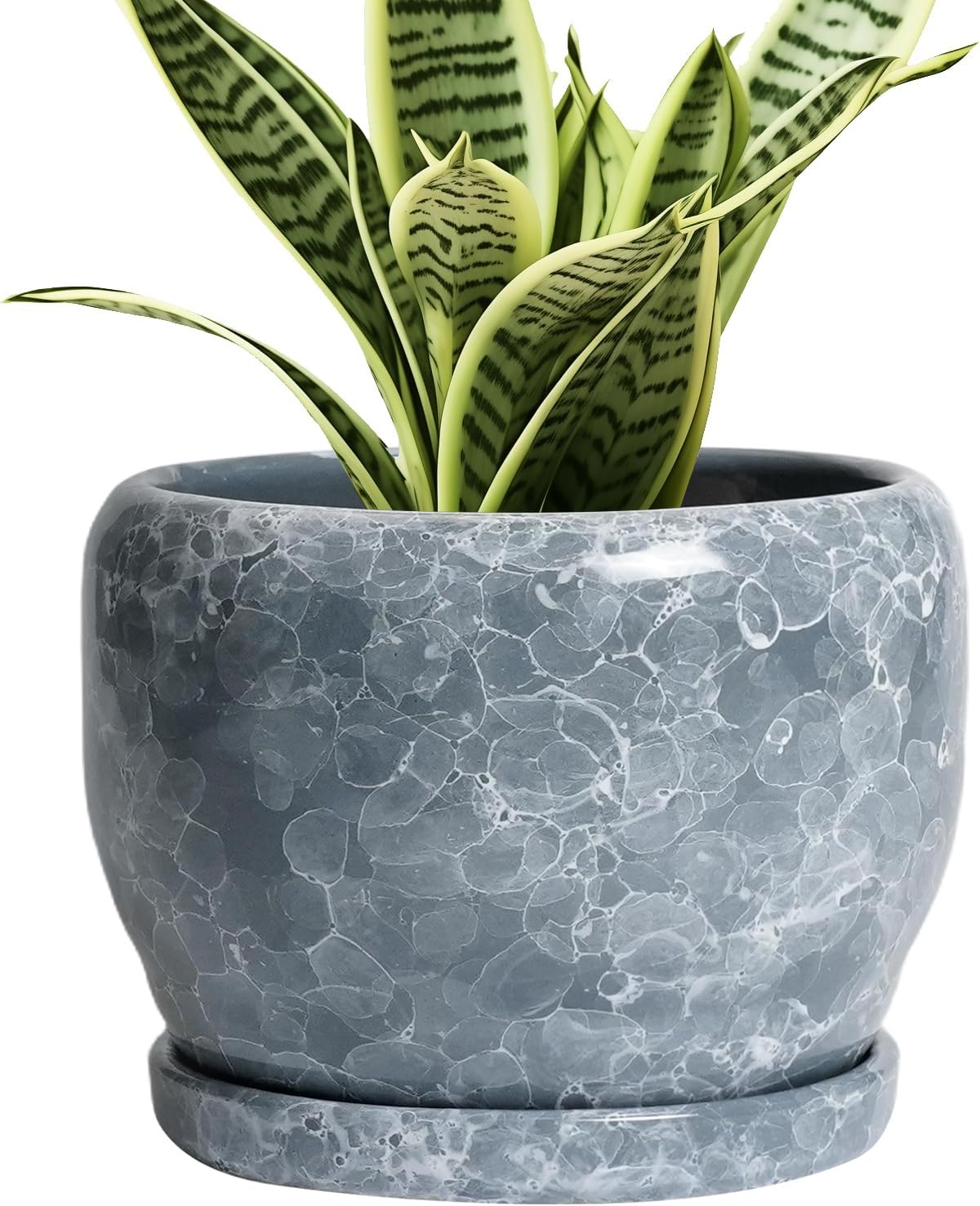 SQOWL 6 Inch Plant pots Indoor - Ceramic Planter with Drainage Hole and Saucer, Ceramic Flower Pot