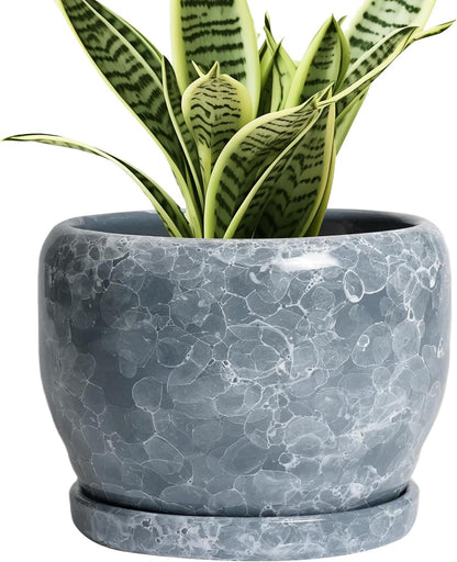SQOWL 6 Inch Plant pots Indoor - Ceramic Planter with Drainage Hole and Saucer, Ceramic Flower Pot