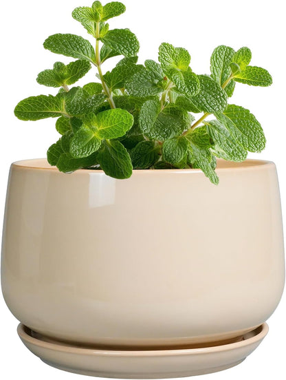 G EPGardening 4 inch Plant Pots - Ceramic Planter with Drainage Hole & Saucer, Small Plant Pots for