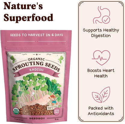 Seedboy Organic Non-GMO Radish Seeds for Sprouting - USA Grown Microgreens Sprouting Seeds - 8 oz