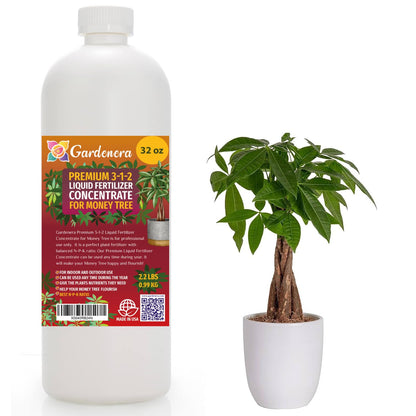 Premium Liquid Money Tree Plant Fertilizer - 3-1-2 Concentrate for Indoor Plants and Flowers by