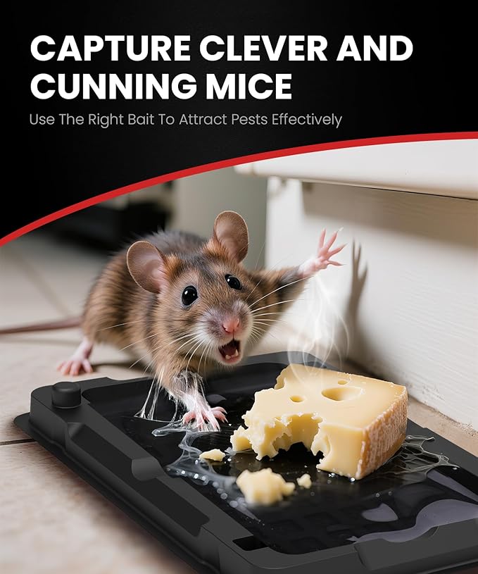 Sticky Mouse Traps Indoor for Home - 16 Pack Glue Traps for Roaches, Spider, Lizard, Rodent Catcher