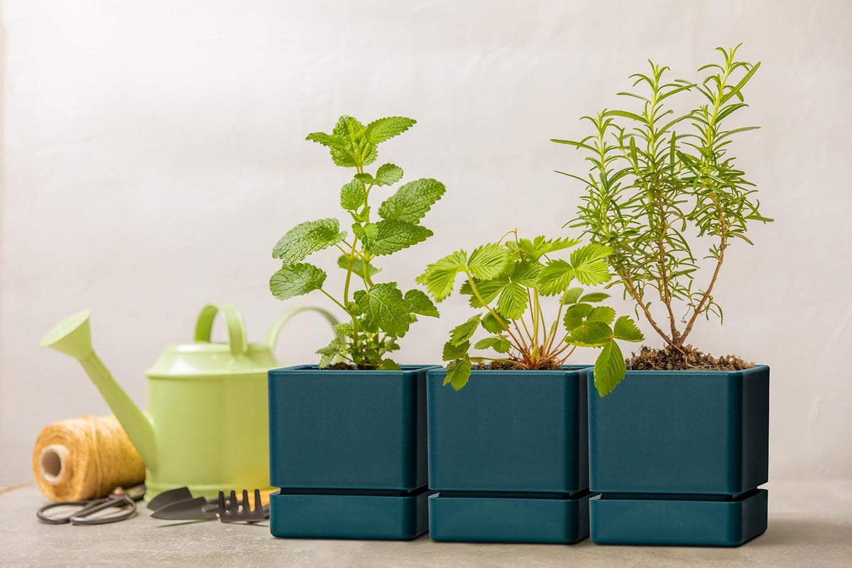 4 Inch Herb Planter Pot, Plastic Planter with Drainage Holes and Saucer, Modern Decorative
