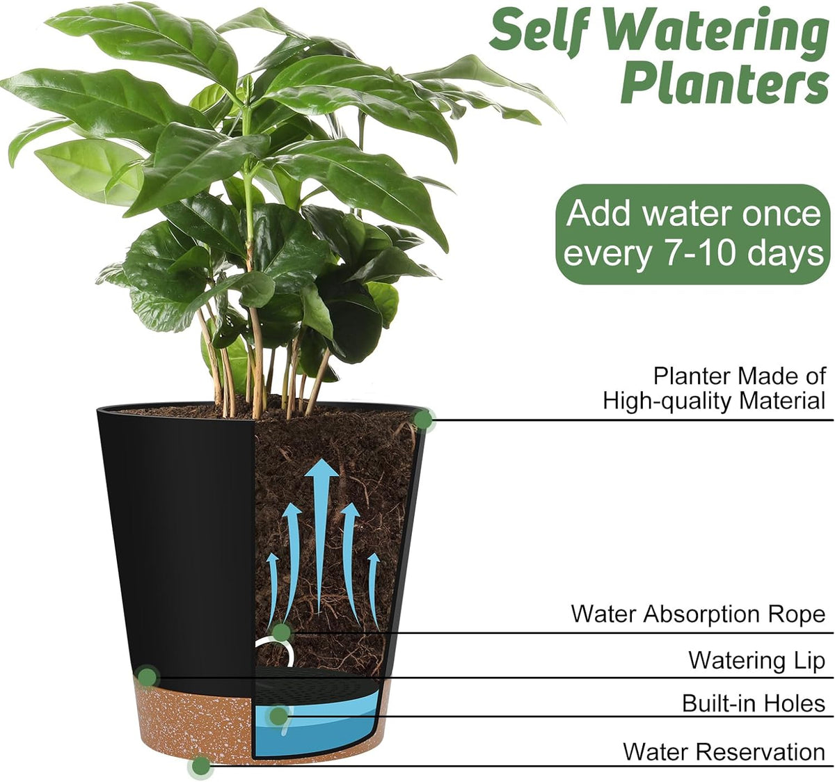 Indoor Self Watering Planters with Drainage Holes and Saucers, 8, 7, 6.5, 6, 5.5, 5 Inches, Black