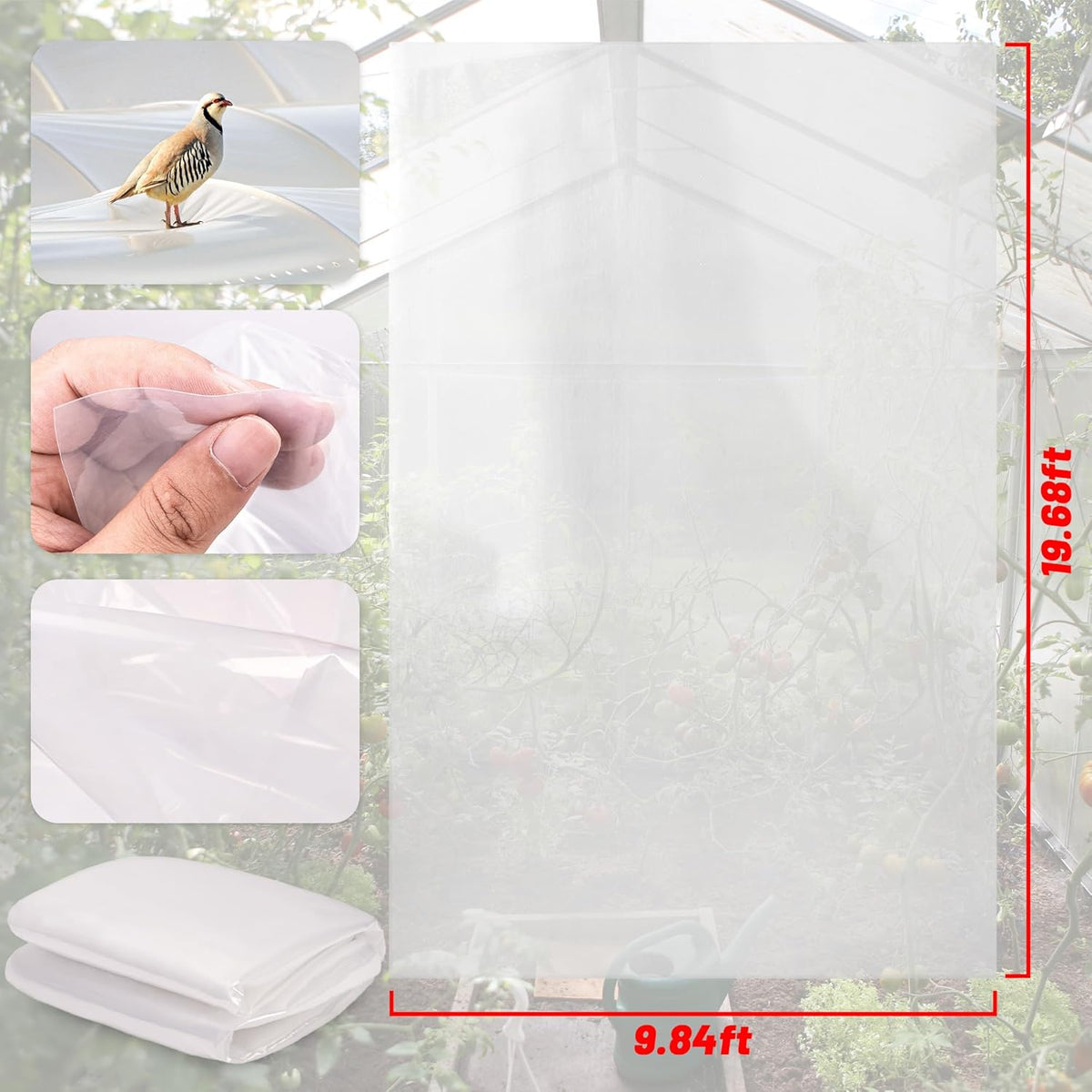 6 Mil Clear Greenhouse Plastic Sheeting,9.8FTx19.7FT Transparent Plastic Film for Greenhouse