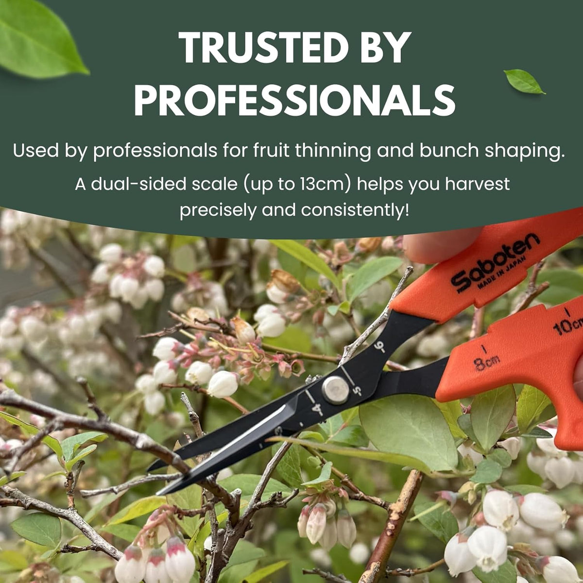 Saboten Japan 6.3" Automatic Japanese Harvesting Shears - Fine-Tipped Angled Blade, Magnetic