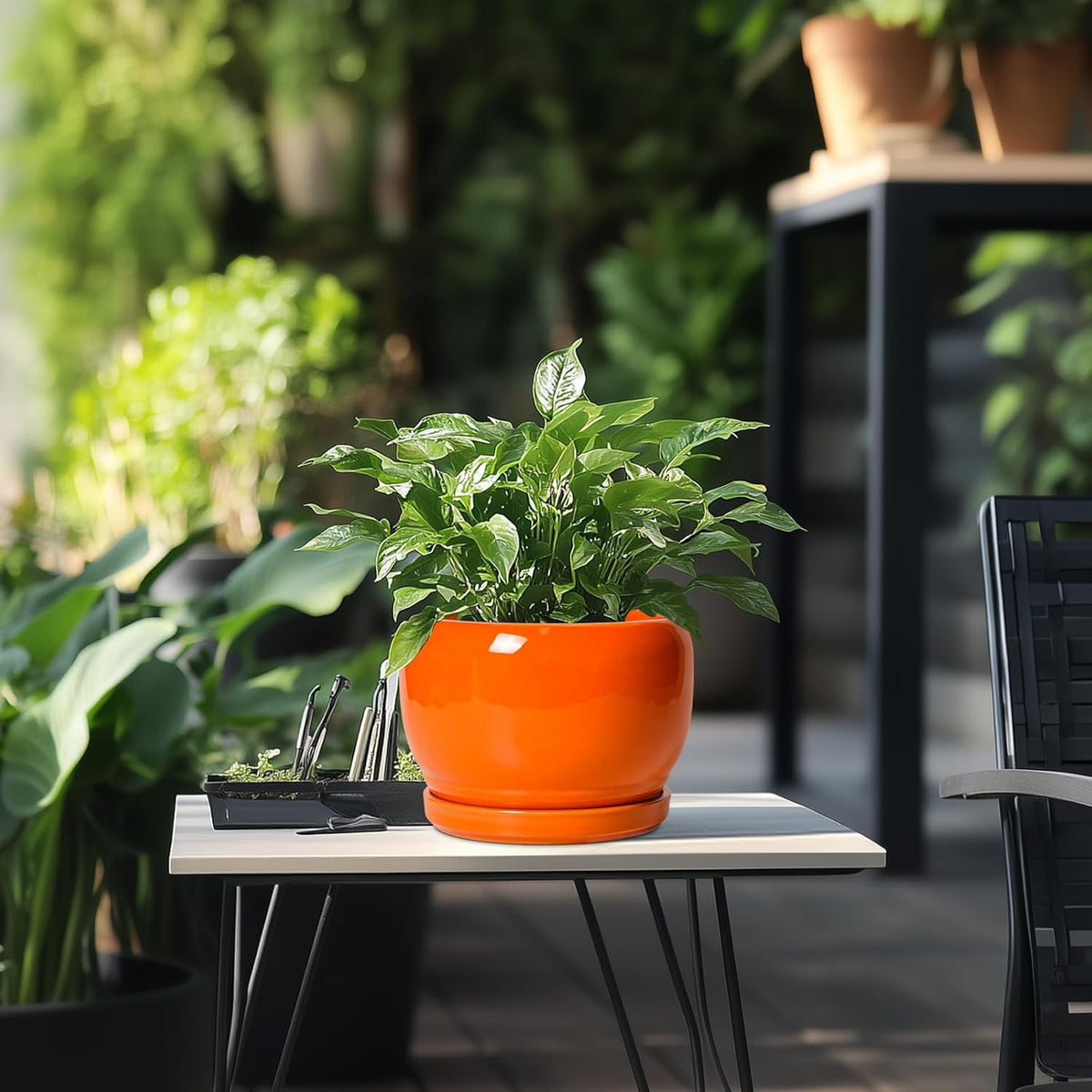 SQOWL Ceramic Pot for Plants - 8 Inch Plant Pot Indoor Outdoor, Modern Round Planter with Drainage