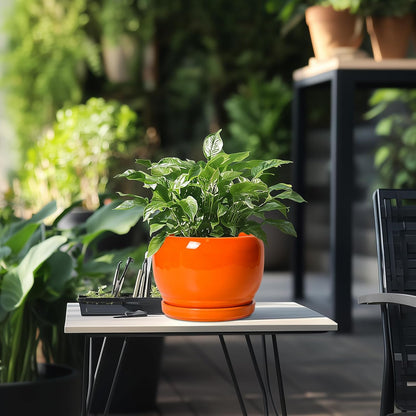 SQOWL Ceramic Pot for Plants - 8 Inch Plant Pot Indoor Outdoor, Modern Round Planter with Drainage