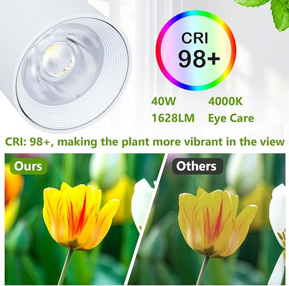 HMVPL 40W Grow Lights Stand for Indoor Plants Full Spectrum, Standing Plant Light for Indoor