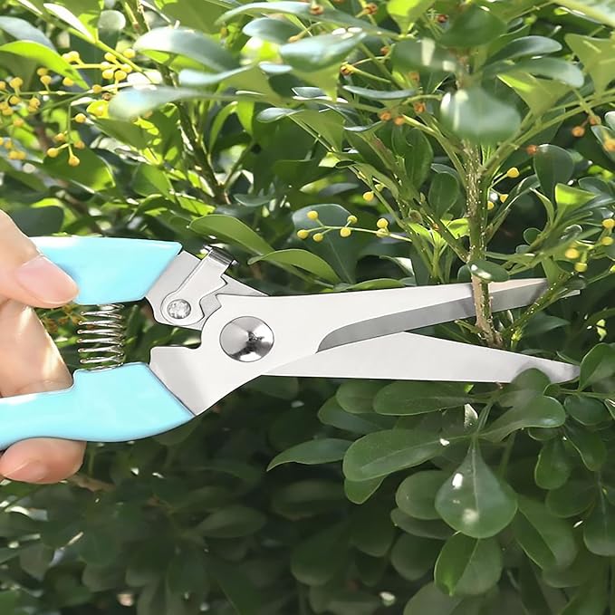 Premium Garden Shears, Pruning Scissors Gardening Tools, Pruners For Flower, Bushes, Rose And Fruit