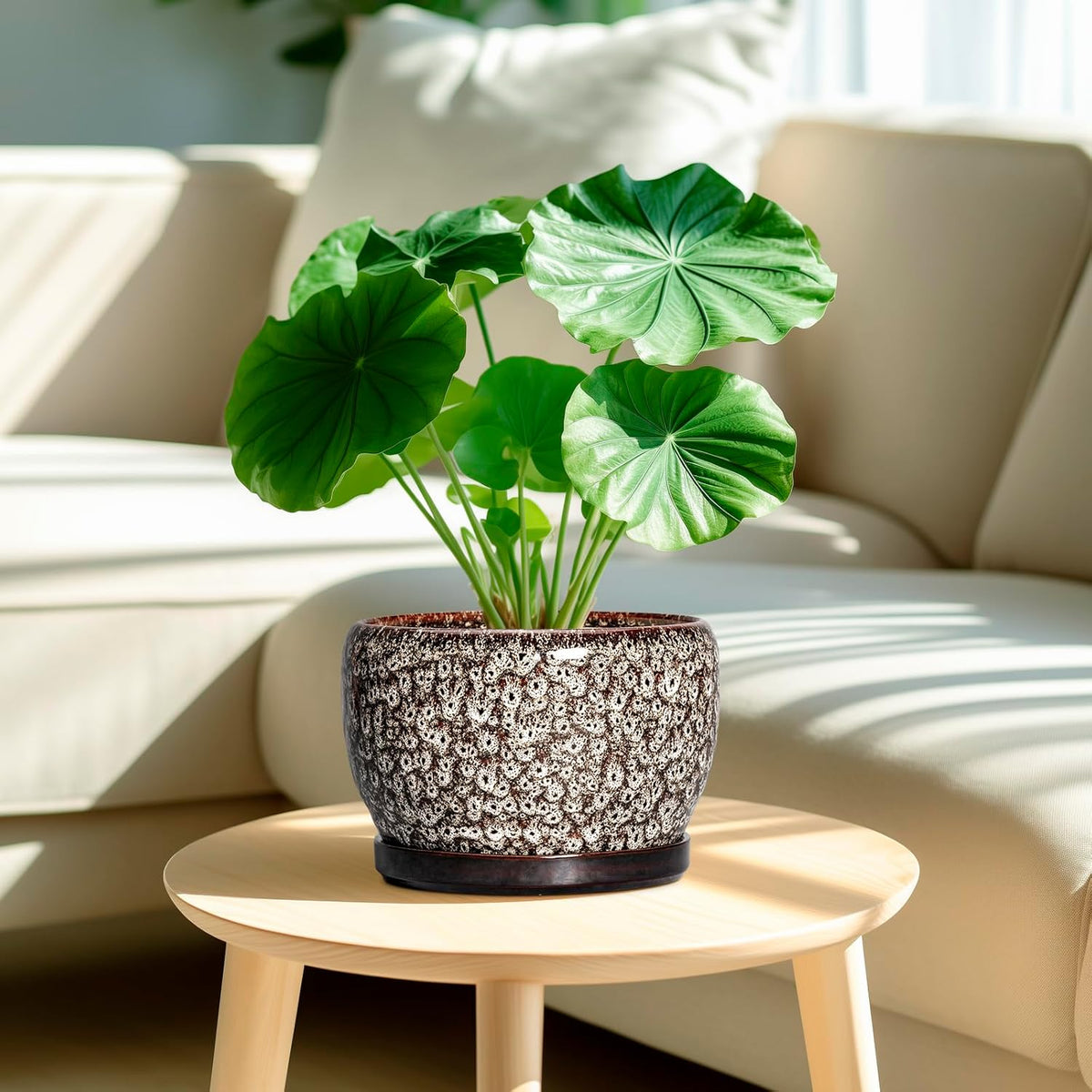SQOWL Ceramic Planter - 8 inch Plant Pot Indoor with Drainage Hole and Plant Saucer, Round Ceramic