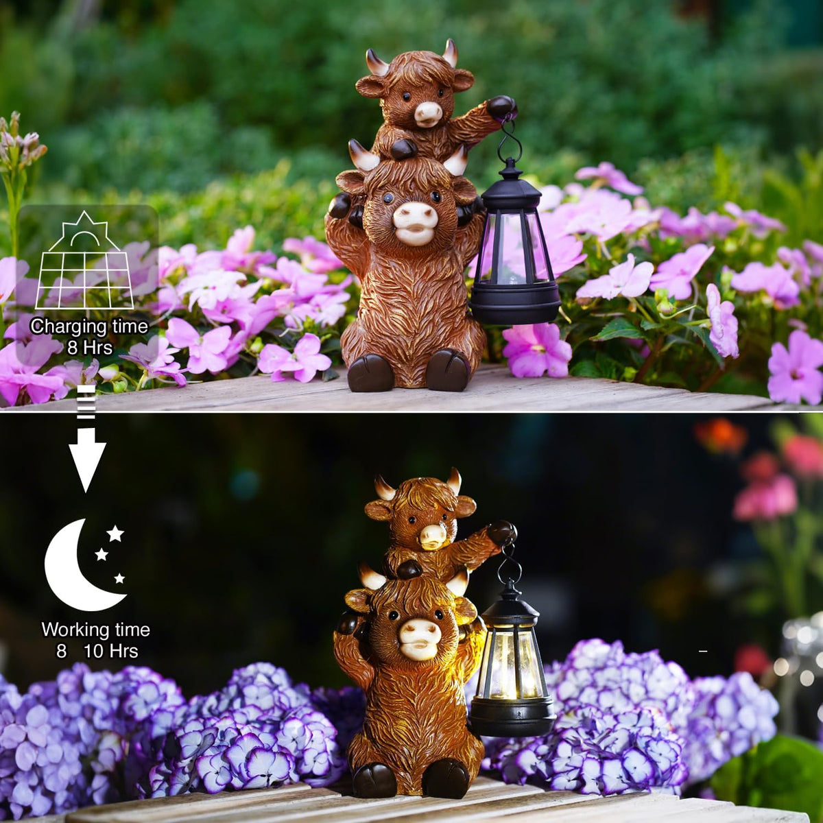 Goodeco 9.5 Inch Highland Cattle with Solar Lantern – Resin Garden Decor, Outdoor Statue & Unique