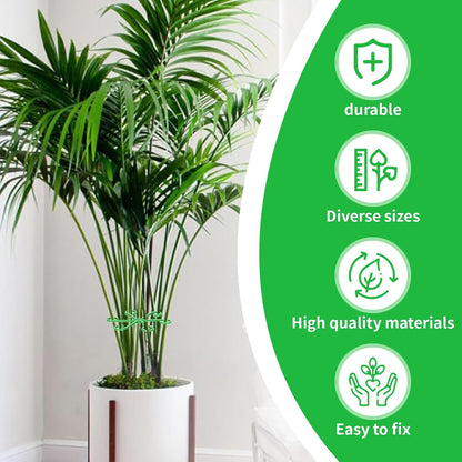 16pcs Climbing Houseplant Stem Supports,Plant Stems Supports for Indoor Plants with 4