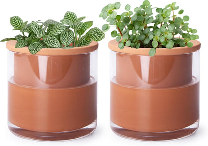 Phoenix Vine 4 Inch Self Watering Plants Pot, Design Terracotta Pot for Plants, Indoor Cylinder