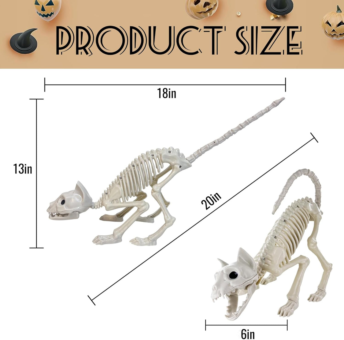 GIFTEXPRESS 2 Pack Real Size Cat Skeleton - 20" Long Creepy Kitten Skeletons with Posable Tail