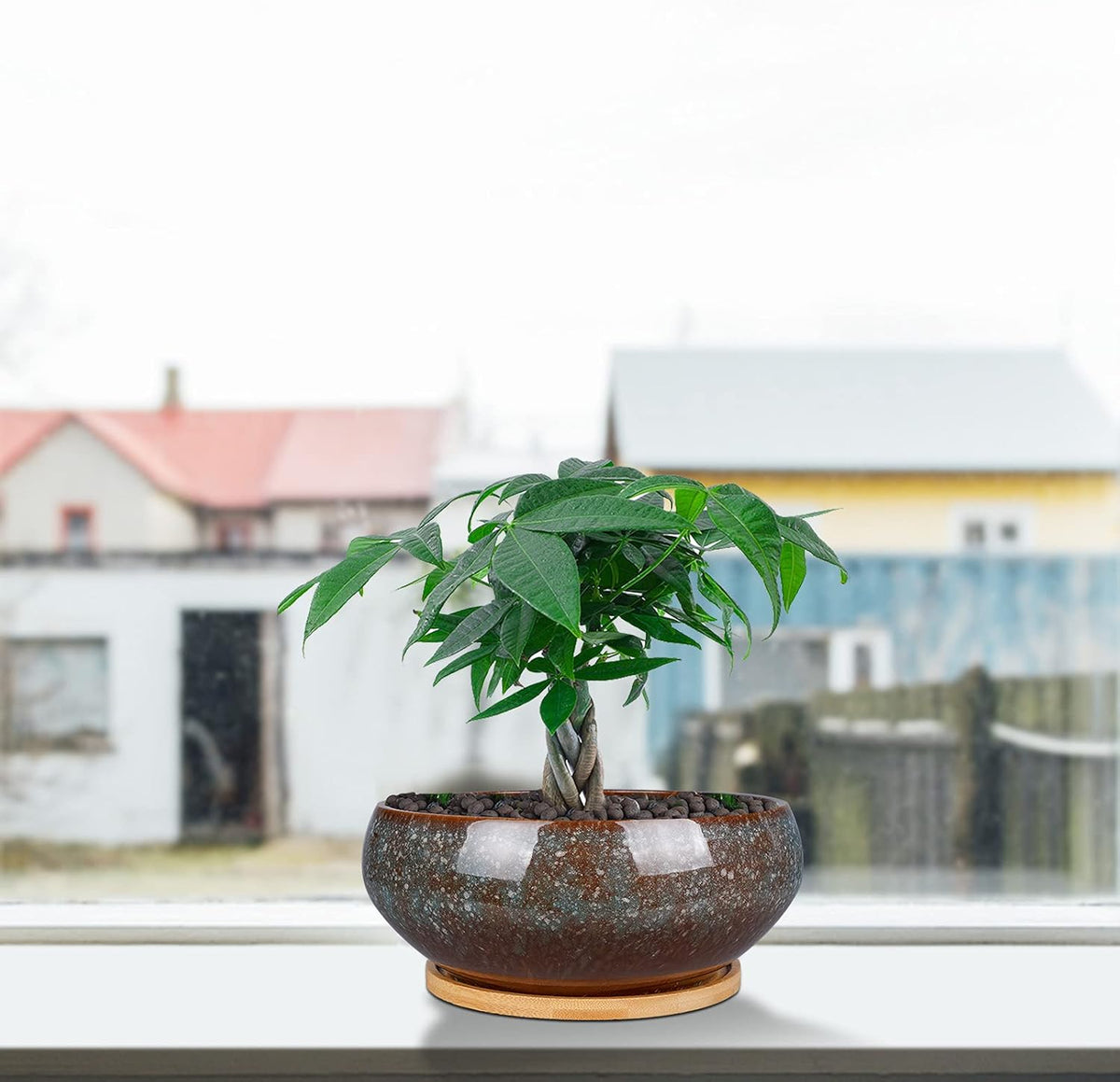 8 Inch Ceramic Bonsai Planter Pot, Glazed Shallow Succulent Planter with Drainage Hole and Bamboo