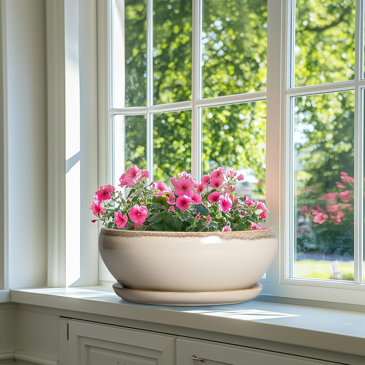 SQOWL Bonsai Pots 12 Inch - Large Ceramic Succulent Planters, Shallow Planter with Drainage Hole