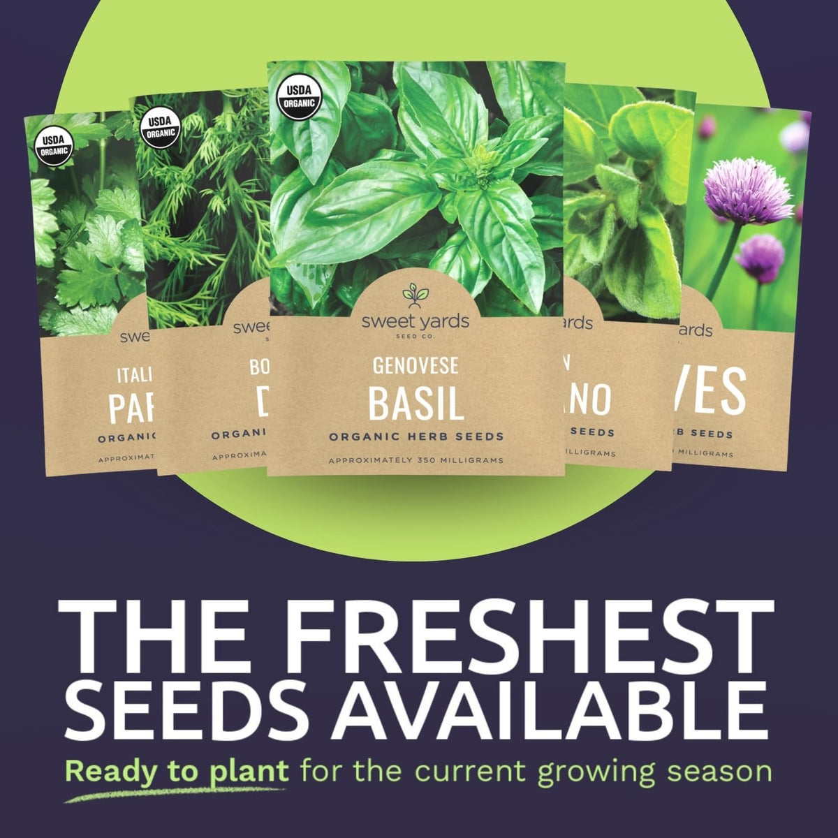 Organic Herb Seeds Variety Pack - 16 Individual Packs - 2025 Season - Basil, Cilantro, Dill, Thyme