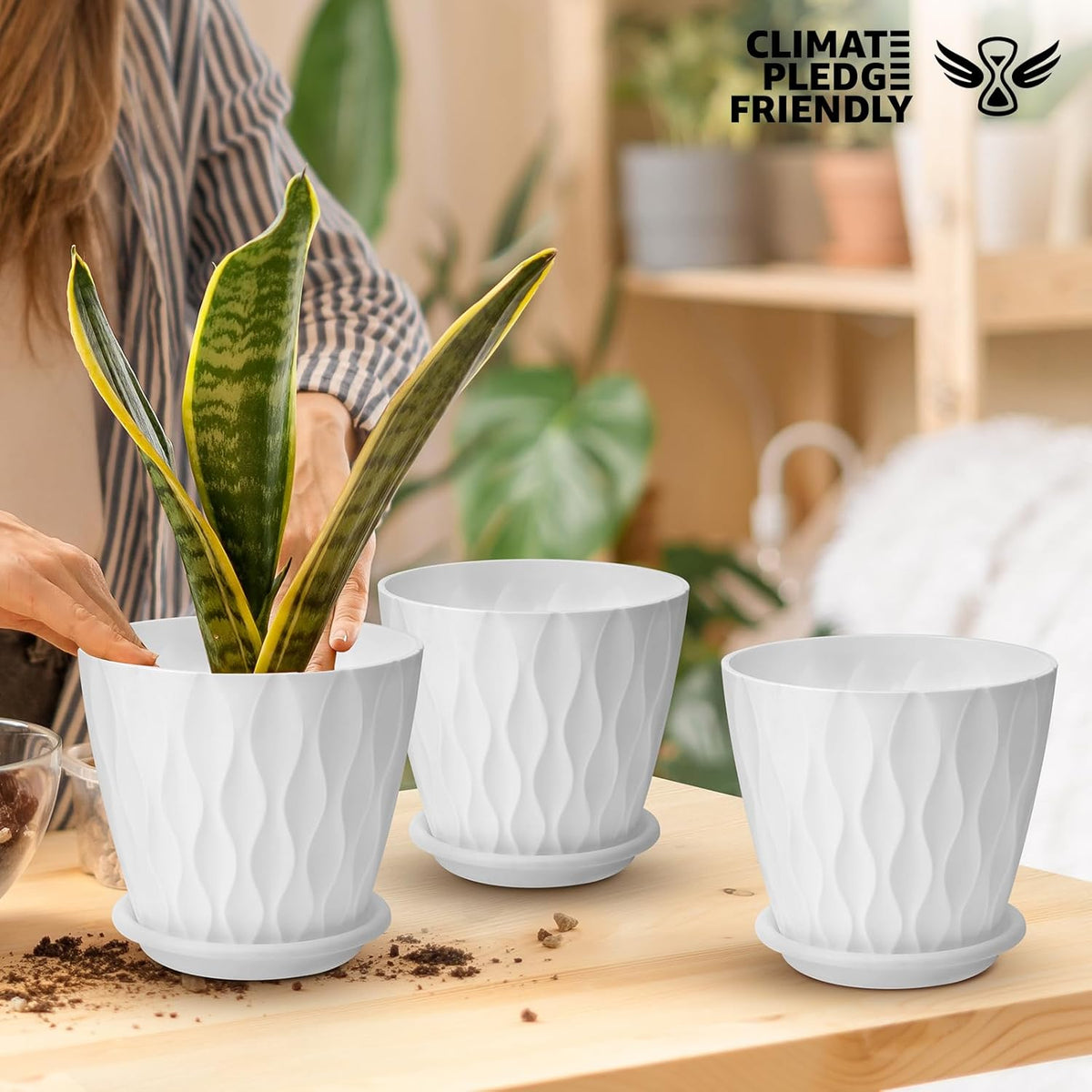 6 inch Plant Pots, 5 Pack Flower Pots Outdoor Indoor, Planters with Drainage Hole and Tray