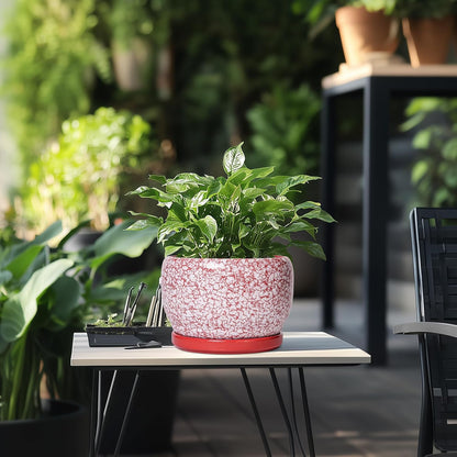 SQOWL Ceramic Pots for Plants - 8 inch Indoor Planter with Drainage Hole and Tray, Ceramic Flower