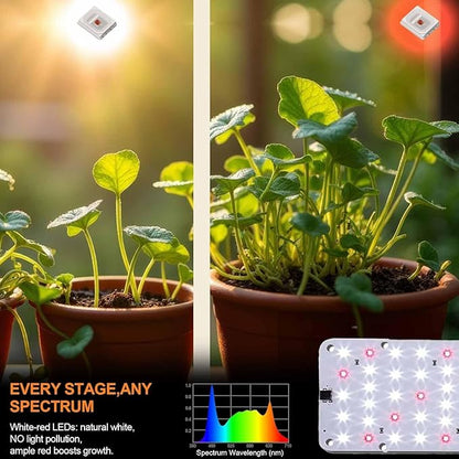 DOMMIA Grow Light, 20W Ultra-Thin Panel Grow Lights for Indoor Plants, High PPFD Full Spectrum