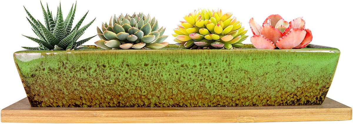ARTKETTY Succulent Pots, 9.8 Inch Ceramic Succulent Planters with Drainage Small Bonsai Pot with