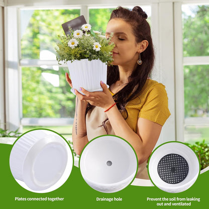 Plant Pots - 5.5 Inch Cylinder Ceramic Planters with Connected Saucer, Pots for Succuelnt and