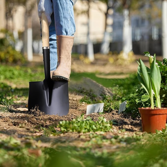 Shovel for Digging,Heavy Duty Garden Shovel with D-Handle,41 Inch Round Point Wooden Handle,Ideal