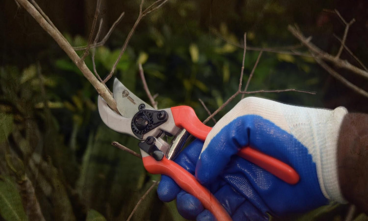 – Professional Bypass Hand Pruning Shears – Durable, Heavy Duty, Landscaping