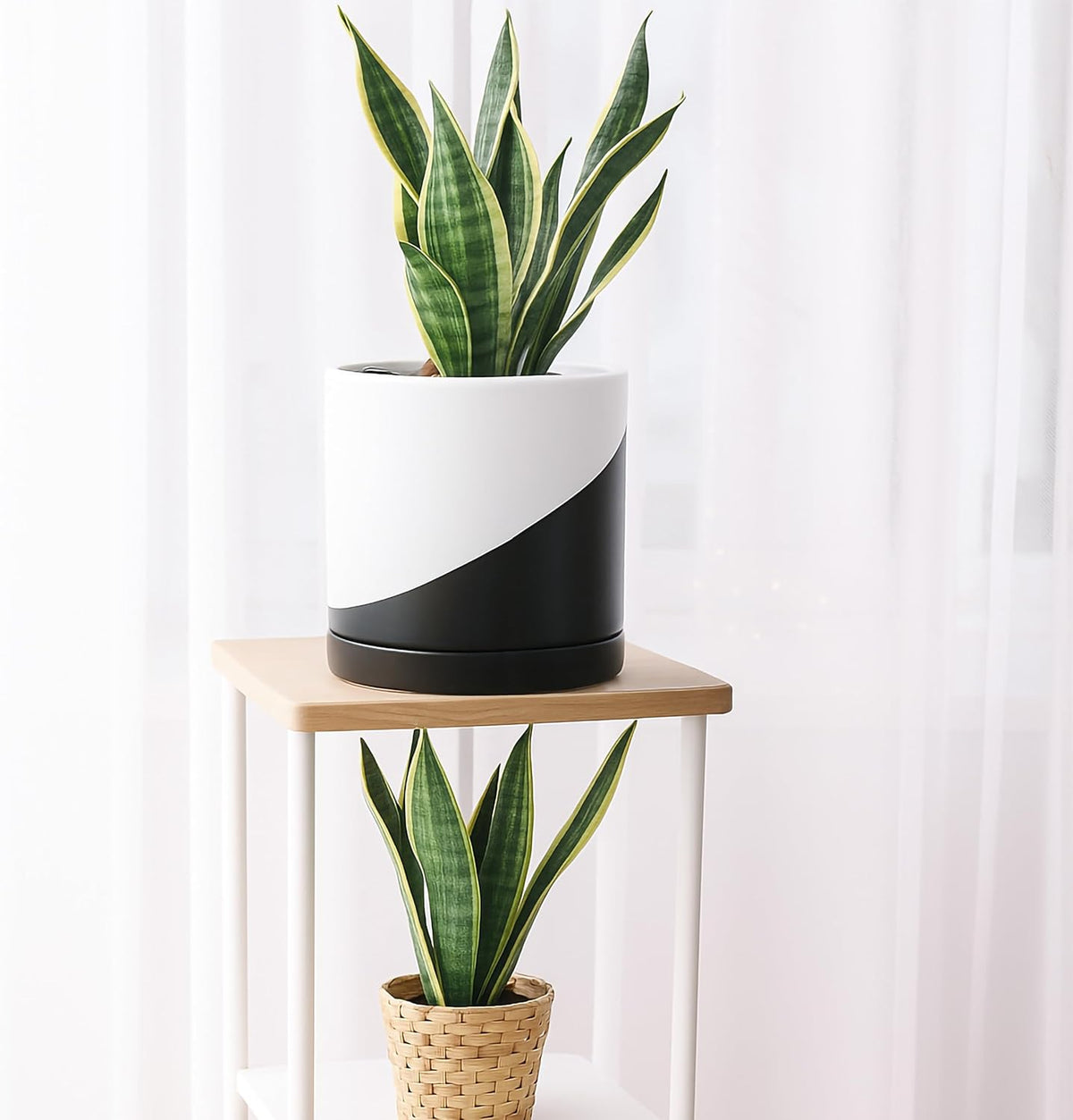 D'vine Dev 8.2 Inch Ceramic Planter Pot with Drainage Hole and Saucer, Indoor Cylinder Round