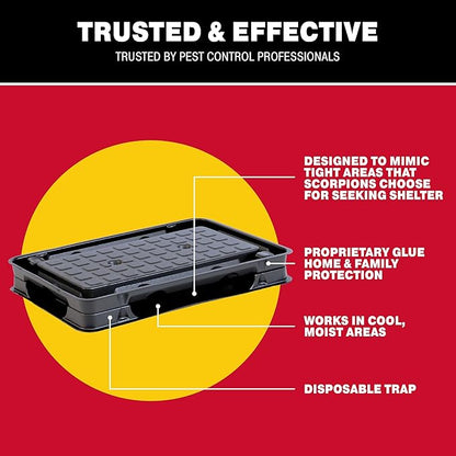 Catchmaster Scorpion Glue Tray Traps 6-Pack, Adhesive Scorpion Killer for Home, Simple Insect Traps