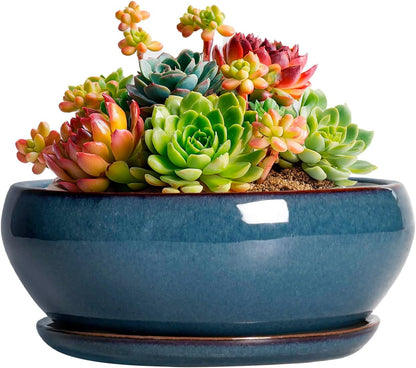 SQOWL Succulent Pots - 6 Inch Ceramic Bonsai Pots, Shallow Planter with Drainage Hole and Saucer
